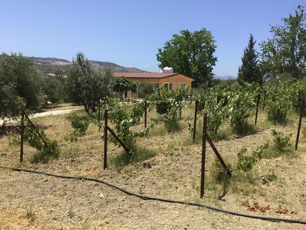 Pervolaris Cottages 2 Goudhi المظهر الخارجي الصورة
