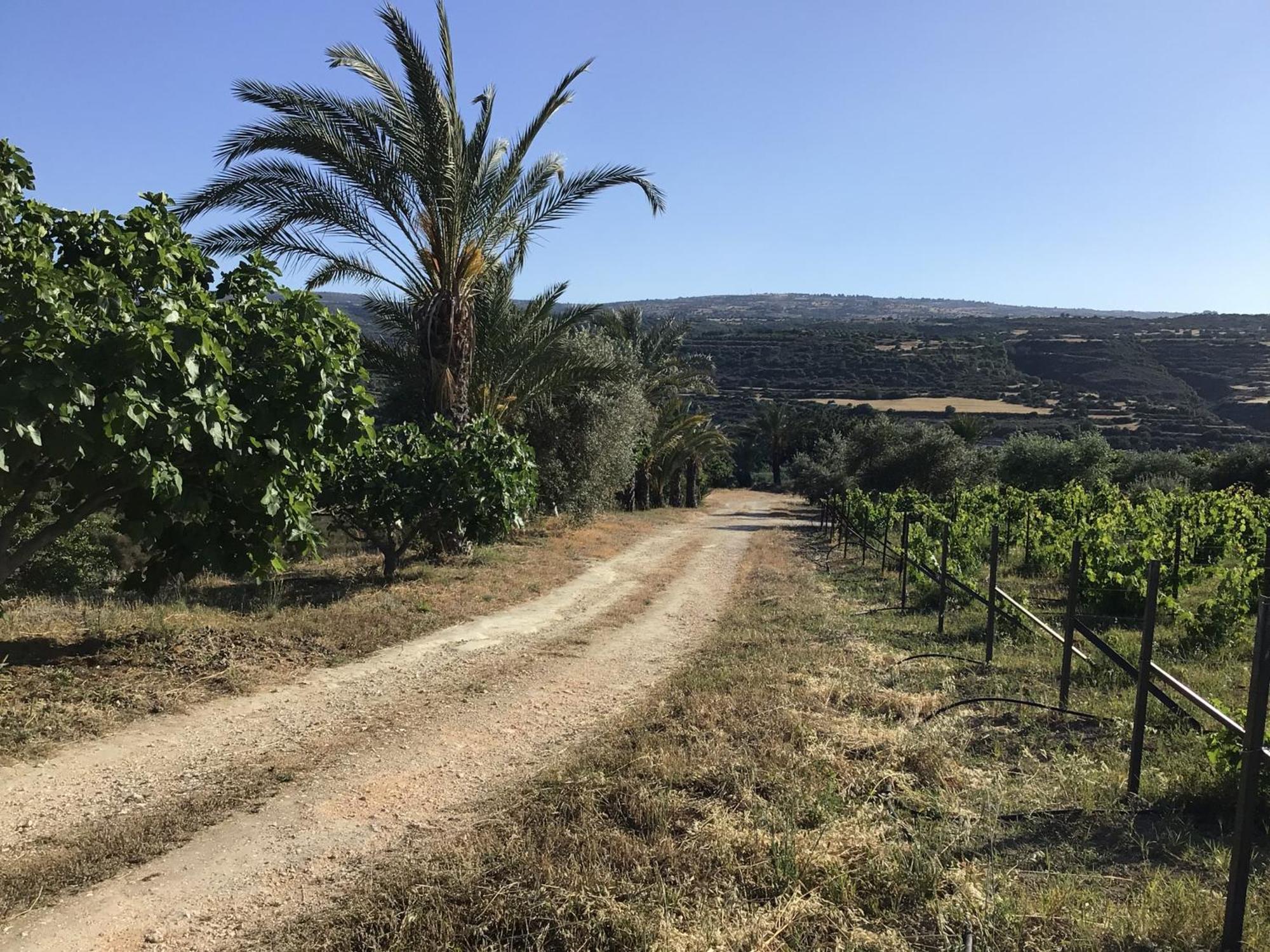 Pervolaris Cottages 2 Goudhi المظهر الخارجي الصورة