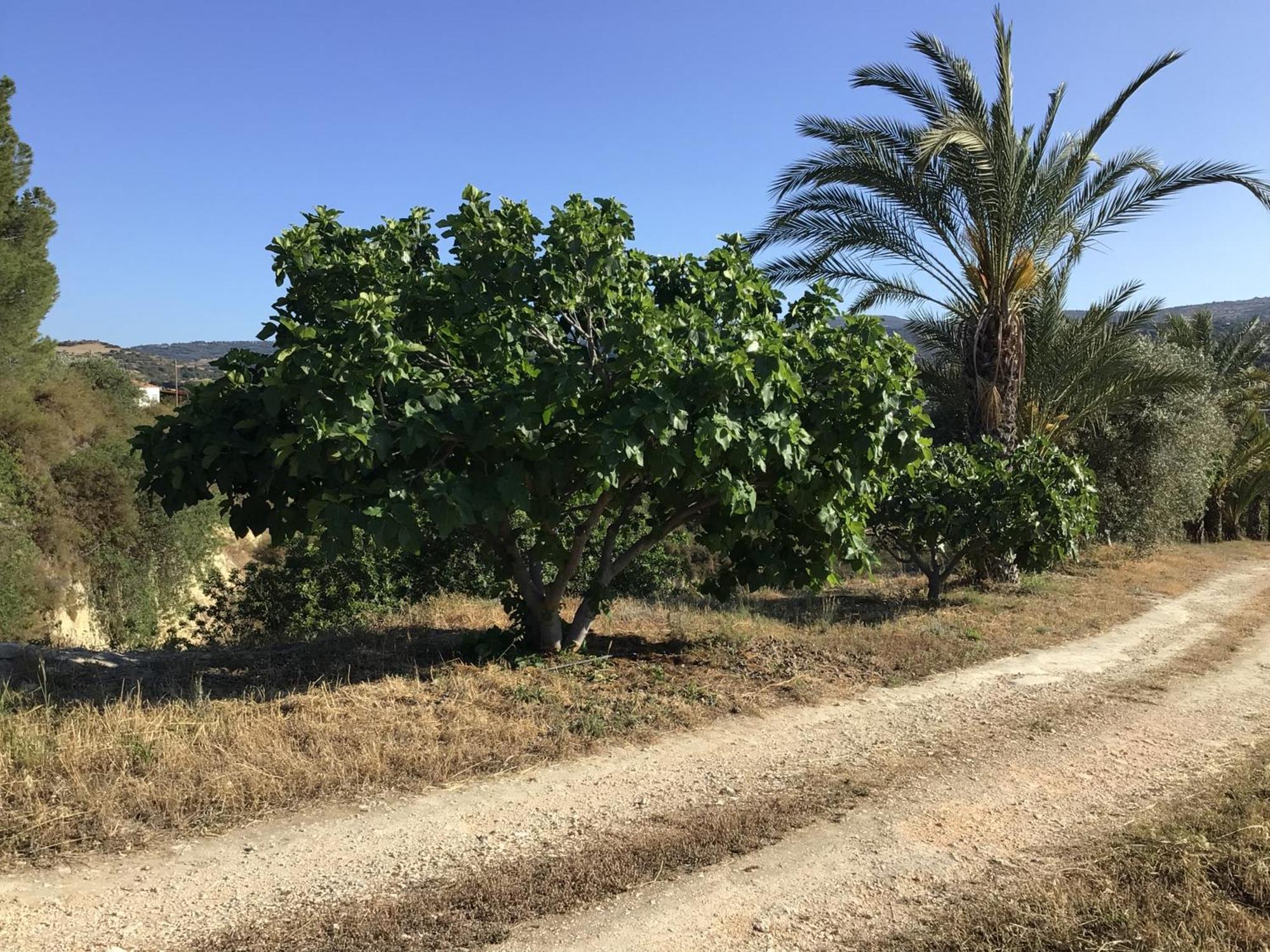 Pervolaris Cottages 2 Goudhi المظهر الخارجي الصورة
