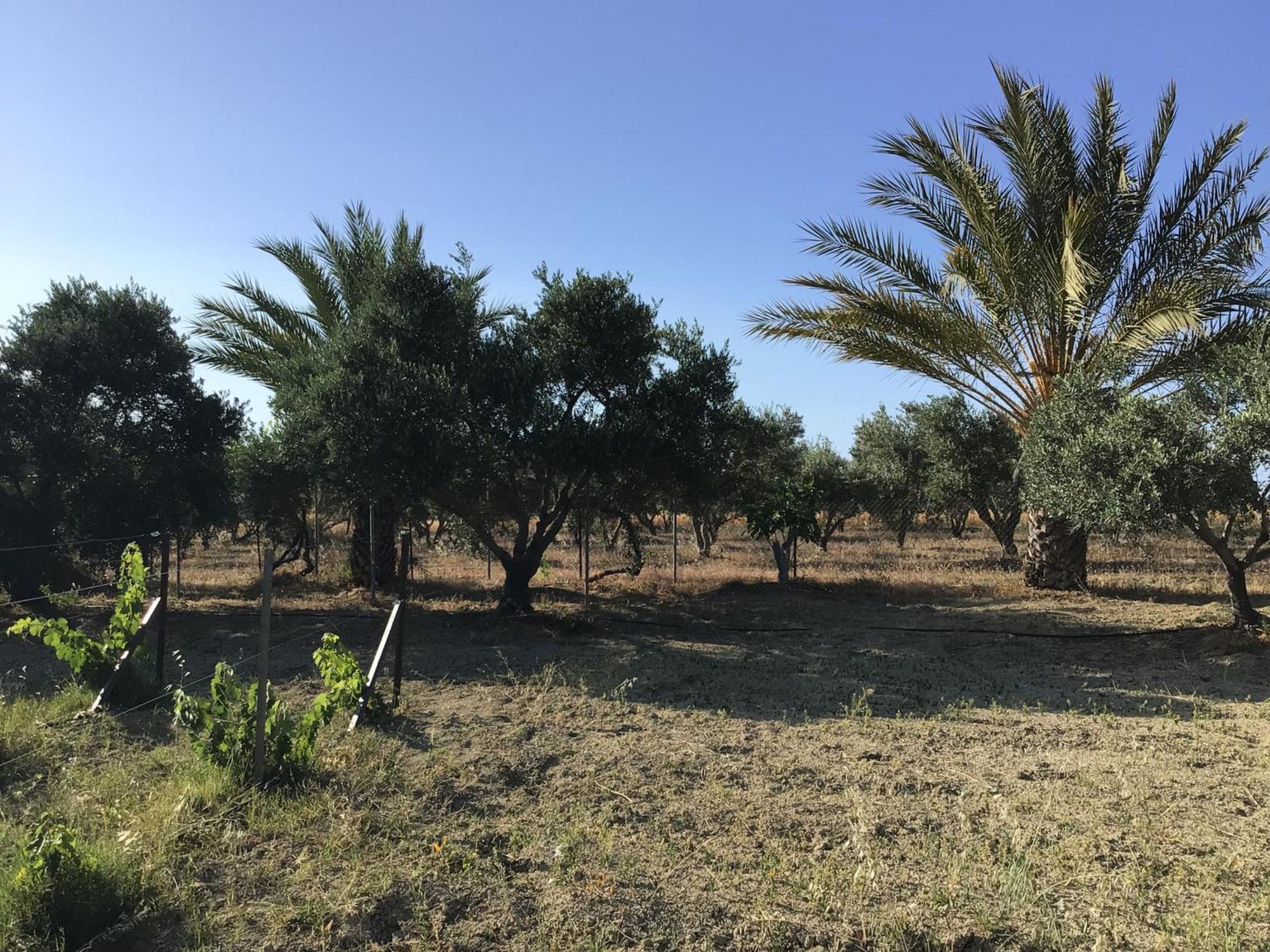 Pervolaris Cottages 2 Goudhi المظهر الخارجي الصورة